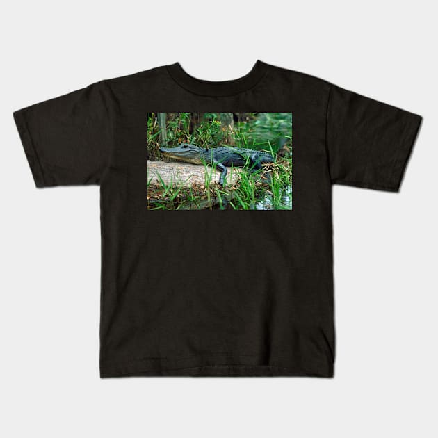 Young Alligator Kids T-Shirt by Bravuramedia